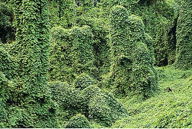 《电锯甜心RePOP》预热首个预告 6月14日正式公布